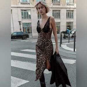 Zara Leopard Print Dress with Black Lace